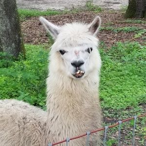 Meet your Posher, Andrea